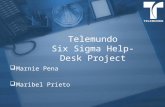 Telemundo Six Sigma Help-Desk Project  Marnie Pena  Maribel Prieto.