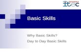 Basic Skills Why Basic Skills? Day to Day Basic Skills.