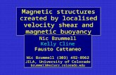 Magnetic structures created by localised velocity shear and magnetic buoyancy Nic Brummell Kelly Cline Fausto Cattaneo Nic Brummell (303) 492-8962 JILA,