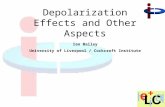 Ian Bailey University of Liverpool / Cockcroft Institute Depolarization Effects and Other Aspects.