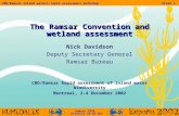 Ramsar COP8. Valencia 18-26 Nov CBD/Ramsar inland waters rapid assessment workshopSlide 1 The Ramsar Convention and wetland assessment Nick Davidson Deputy.