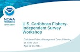 U.S. Caribbean Fishery- Independent Survey Workshop SEFSC/SERO Caribbean Fishery Management Council Meeting St. Croix USVI April 22-23, 2014.