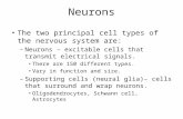 The two principal cell types of the nervous system are: –Neurons – excitable cells that transmit electrical signals. There are 150 different types. Vary.