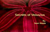 Secrets of Vesuvius By, Sean Steele By, Sean Steele.
