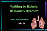 1 Waiting to Exhale Respiratory Disorders Peggy Andrews, Instructor Fall, ‘08.