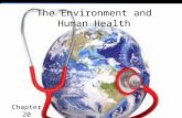 The Environment and Human Health Chapter 20. Toxicologists study the harmful effects of substances on organisms ?
