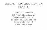 1 SEXUAL REPRODUCTION IN PLANTS Types of flowers Self-pollination vs Cross-pollination Insect-pollinated vs Wind-pollinated Fertilisation.