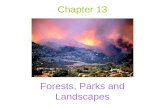Chapter 13 Forests, Parks and Landscapes. Two Mindsets of Wildland Fires “Smokey the Bear”: –All wildfires are bad and are mostly due to people Managing.