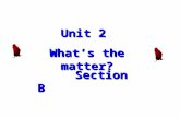 Unit 2 What’s the matter? Section B Section B Inquire What’s the matter with you? What’s wrong with you? What’s the trouble with you? I have a cold.