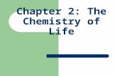 Chapter 2: The Chemistry of Life. Basic Chemistry ATOM: The basic building block of all matter; the smallest particle of an element that still retains.