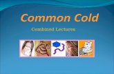 Combined Lectures. REFERENCES Cough and the Common Cold. ACCP Evidence-Based Clinical Practice Guidelines. Chest 2006;129;72S-74S. Cough Suppressant and.
