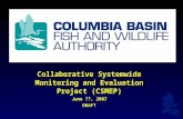 1 Collaborative Systemwide Monitoring and Evaluation Project (CSMEP) June ??, 2007 DRAFT.