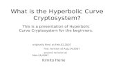 What is the Hyperbolic Curve Cryptosystem? This is a presentation of Hyperbolic Curve Cryptosystem for the beginners. originally filed at Feb.02,2007 first.