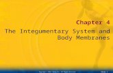 Slide 0 Copyright © 2004. Mosby Inc. All Rights Reserved. Chapter 4 The Integumentary System and Body Membranes.