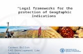 “Legal frameworks for the protection of Geographic Indications” Carmen Bullon FAO Development Law Service.