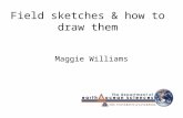 Field sketches & how to draw them Maggie Williams.