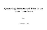 Querying Structured Text in an XML Database By Xuemei Luo.