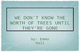 WE DON’T KNOW THE WORTH OF TREES UNTIL THEY’RE GONE by: Emma Hall.
