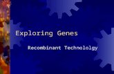 Exploring Genes Recombinant Technololgy. Restriction Enzymes  What are restriction enzymes and how are they used?  enzymes that recognize specific base.