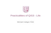 Practicalities of QIS3 - Life Michael Culligan FSAI.