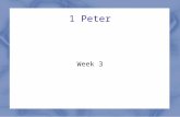 1 Peter Week 3. 1 Peter: Godly Relationships Themes Our great salvation Our response – Holy lives – Godly relationships – Godly suffering.