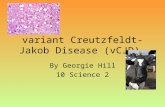 Variant Creutzfeldt-Jakob Disease (vCJD). By Georgie Hill 10 Science 2 CJD Bacteria.