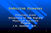 1 Endocrine Diseases Pituitary Gland University of New England Physician Assistant Program J.B. Handler, M.D.