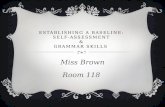 ESTABLISHING A BASELINE: SELF-ASSESSMENT & GRAMMAR SKILLS Miss Brown Room 118.