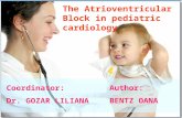 The Atrioventricular Block in pediatric cardiology Coordinator: Dr. GOZAR LILIANA Author: BENTZ OANA.