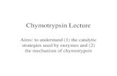 Chymotrypsin Lecture Aims: to understand (1) the catalytic strategies used by enzymes and (2) the mechanism of chymotrypsin.