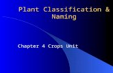 Plant Classification & Naming Chapter 4 Crops Unit.