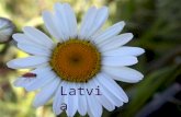 Latvia. Līgo and Jāņi ( Midsummer Day) Jāņi is a Latvian festival held in the night from 23 June to 24 June to celebrate the summer solstice (Midsummer),