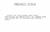 PROJECT TITLE EFFECT OF TIED RIGDES AND PLANT POPULATION ON PRODUCTIVITY OF COMMON BEAN AND PIGEON PEA IN EASTERN AND CENTRAL KENYA.