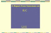 A Report from Snowmass on ILC F. Cervelli INFN-Pisa.