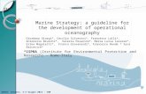 Marine Strategy: a guideline for the development of operational oceanography Giordano Giorgi*, Cecilia Silvestri*, Francesco Lalli*, Antonello Bruschi*,