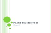 P LANT D IVERSITY II Chapter 30. F ERTILIZATION OF S EED P LANTS V IA P OLLEN Microspore develop into pollen grains, the male gametophyte covered by sporopollenin.