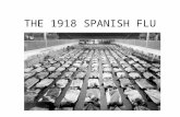 THE 1918 SPANISH FLU. ENDEMIC, PANDEMIC or EPIDEMIC? LARGE CLUSTER OF DISEASE IN LOTS OF COUNTRIES; GLOBAL LARGE CLUSTER OF DISEASE FOUND REGIONALLY NORMAL.