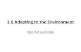 1.6 Adapting to the Environment (Sec 3.2 pg 61-66)