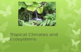 Tropical Climates and Ecosystems. ï‚› The tropics are located between the Tropic of Cancer (23.4378 °N) and the Tropic of Capricorn (23.4378 °S) ï‚› In this