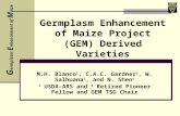 Germplasm Enhancement of Maize Project (GEM) Derived Varieties M.H. Blanco 1, C.A.C. Gardner 1, W. Salhuana 2, and N. Shen 1 1 USDA-ARS and 2 Retired Pioneer.