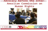 Advocacy before the Inter-American Commission on Human Rights.