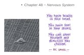 Chapter 48 ~ Nervous System. Nervous systems Effector cells: muscle or gland cells that react to stimuli Nerves: bundles of neurons wrapped in connective.