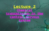 Lecture 2 Chemical transmission in the central nervous system.
