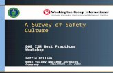 A Survey of Safety Culture DOE ISM Best Practices Workshop Lettie Chilson, West Valley Nuclear Services Company DOE ISM Best Practices Workshop Lettie.