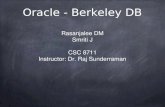 NoSQL Databases Oracle - Berkeley DB Rasanjalee DM Smriti J CSC 8711 Instructor: Dr. Raj Sunderraman.