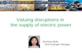 Valuing disruptions in the supply of electric power Sunhee Baik and Granger Morgan.