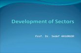 Prof. Dr. Sedef AKGUNGOR. Developments of Sectors Traditionally, the sectoral division of the economy is based on a three sector approach, namely agriculture,