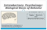 AP PSYCHOLOGY: UNIT II Introductory Psychology: Biological Bases of Behavior Everything that is biological, is simultaneously psychological… Topic: Neurons.