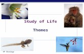 AP Biology Study of Life Themes AP Biology Themes  Science as a process of inquiry  questioning & investigation  Evolution  Energy transfer  Continuity.