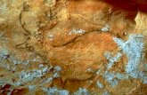 Slike su stare 18,500 g., nalaze se u Grotte Cosquer, (Marseille). Ulaz je 37 m ispod razine mora.